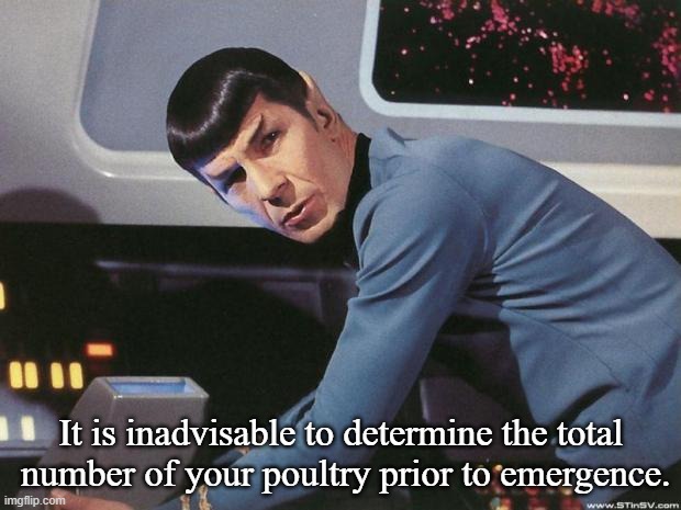 Spock | It is inadvisable to determine the total  number of your poultry prior to emergence. | image tagged in spock | made w/ Imgflip meme maker