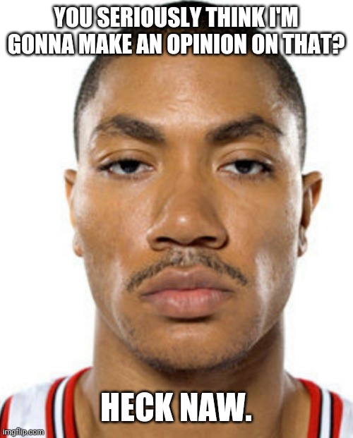 Derrick Rose Straight Face | YOU SERIOUSLY THINK I'M GONNA MAKE AN OPINION ON THAT? HECK NAW. | image tagged in derrick rose straight face | made w/ Imgflip meme maker