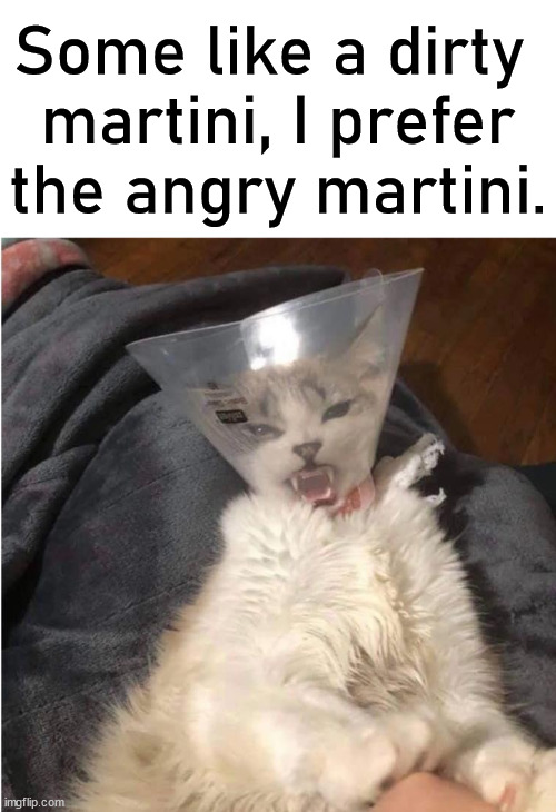Better shaken and not stirred. |  Some like a dirty 
martini, I prefer the angry martini. | image tagged in blank white template,martini | made w/ Imgflip meme maker