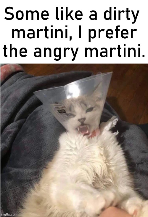 Better shaken and not stirred. | Some like a dirty 
martini, I prefer the angry martini. | image tagged in blank white template,martini | made w/ Imgflip meme maker