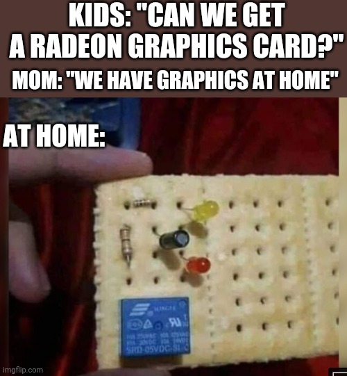 KIDS: "CAN WE GET A RADEON GRAPHICS CARD?"; MOM: "WE HAVE GRAPHICS AT HOME"; AT HOME: | image tagged in funny memes | made w/ Imgflip meme maker