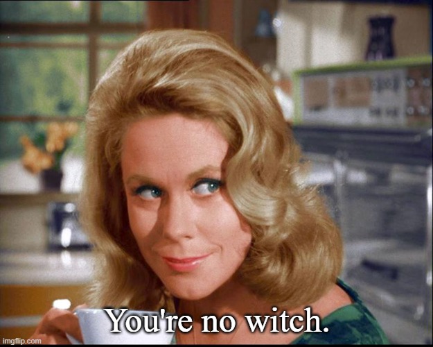 Samantha bewitched | You're no witch. | image tagged in samantha bewitched | made w/ Imgflip meme maker