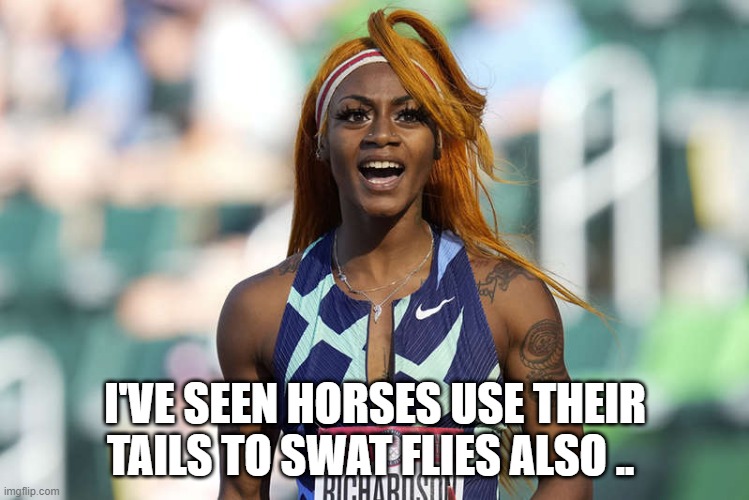 Horses ass | I'VE SEEN HORSES USE THEIR TAILS TO SWAT FLIES ALSO .. | image tagged in trojan horse | made w/ Imgflip meme maker