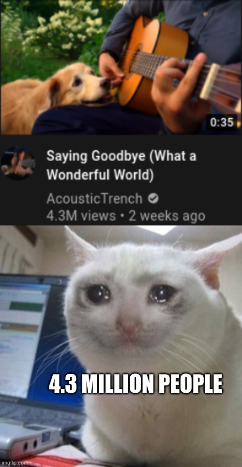 repost to pay respect to this mans dog (RIP) | 4.3 MILLION PEOPLE | image tagged in crying cat | made w/ Imgflip meme maker