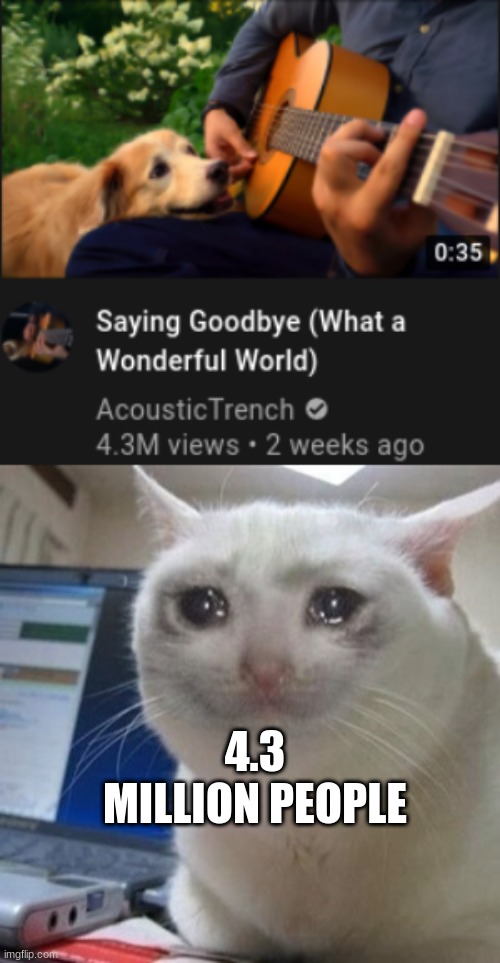 repost to pay respect to this mans dog (RIP) | 4.3 MILLION PEOPLE | image tagged in crying cat | made w/ Imgflip meme maker