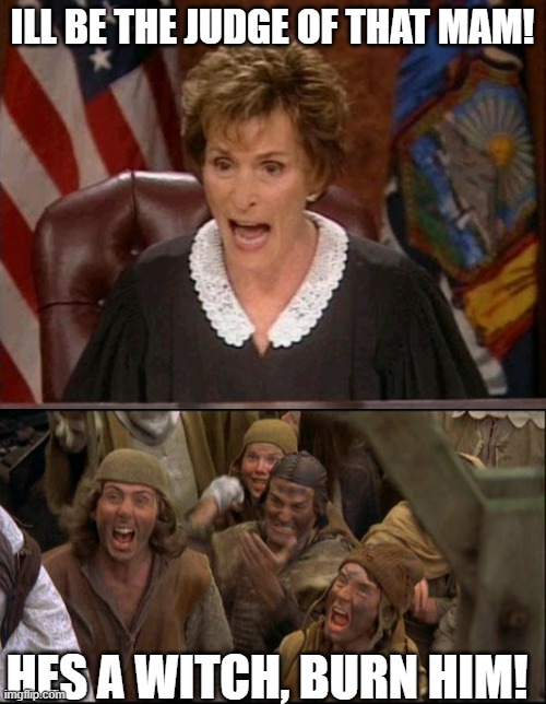 ILL BE THE JUDGE OF THAT MAM! HES A WITCH, BURN HIM! | image tagged in judge judy,monty python witch | made w/ Imgflip meme maker