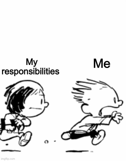 My responsibilities; Me | made w/ Imgflip meme maker