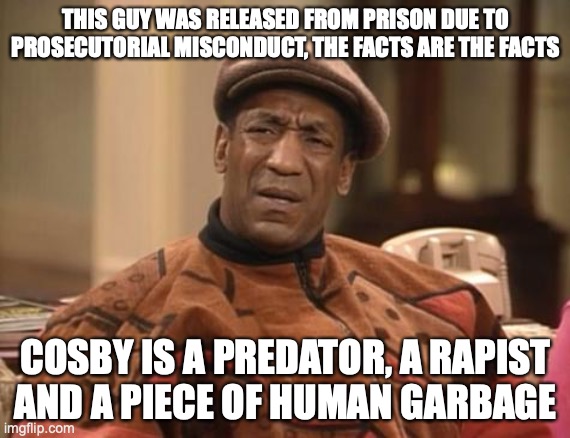 Bill Cosby is a rapist | THIS GUY WAS RELEASED FROM PRISON DUE TO PROSECUTORIAL MISCONDUCT, THE FACTS ARE THE FACTS; COSBY IS A PREDATOR, A RAPIST AND A PIECE OF HUMAN GARBAGE | image tagged in bill cosby,rapist | made w/ Imgflip meme maker