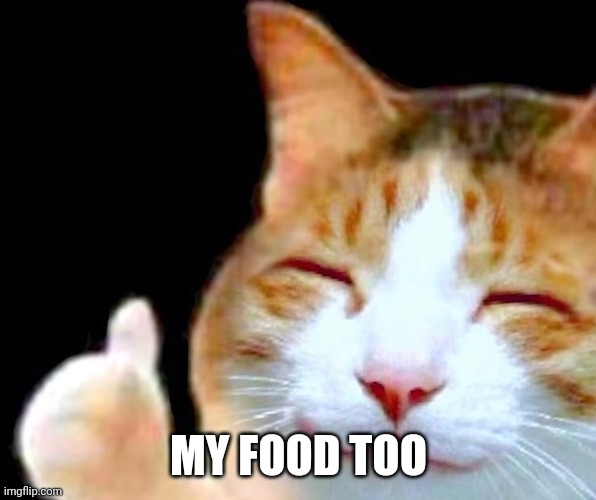 Happy Thumbs Up Cat | MY FOOD TOO | image tagged in happy thumbs up cat | made w/ Imgflip meme maker