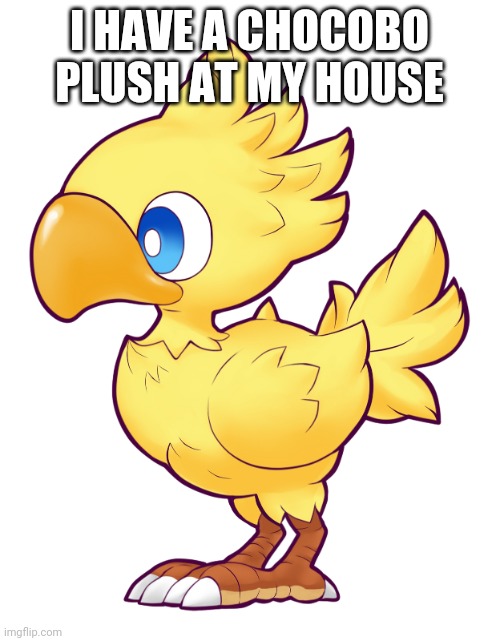 Chocobo plush | I HAVE A CHOCOBO PLUSH AT MY HOUSE | image tagged in chocobo | made w/ Imgflip meme maker