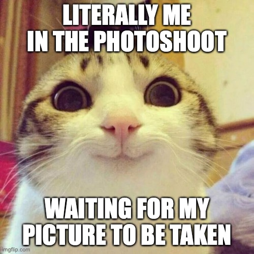 Smiling Cat Meme | LITERALLY ME IN THE PHOTOSHOOT; WAITING FOR MY PICTURE TO BE TAKEN | image tagged in memes,smiling cat | made w/ Imgflip meme maker