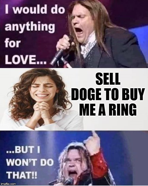 I won't do that | SELL DOGE TO BUY ME A RING | image tagged in i would do anything for love | made w/ Imgflip meme maker