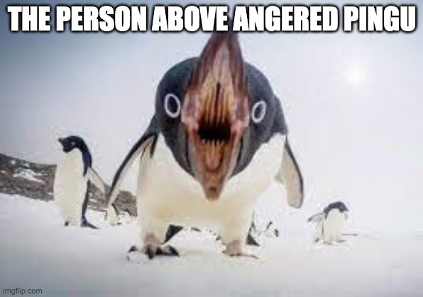 You have angered pingu | THE PERSON ABOVE ANGERED PINGU | image tagged in you have angered pingu | made w/ Imgflip meme maker