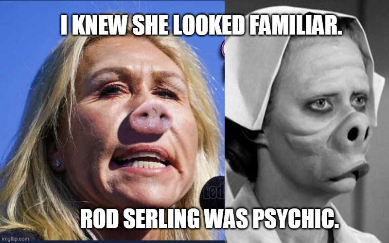 Marjorie Taylor Green | I KNEW SHE LOOKED FAMILIAR. ROD SERLING WAS PSYCHIC. | image tagged in marjorie taylor greene pig,q,qanon,maga,scumbag republicans | made w/ Imgflip meme maker
