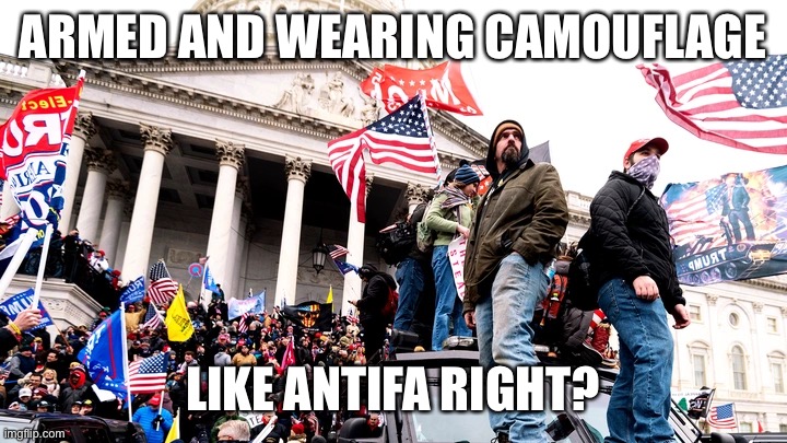 Capitol Riot | ARMED AND WEARING CAMOUFLAGE LIKE ANTIFA RIGHT? | image tagged in capitol riot | made w/ Imgflip meme maker