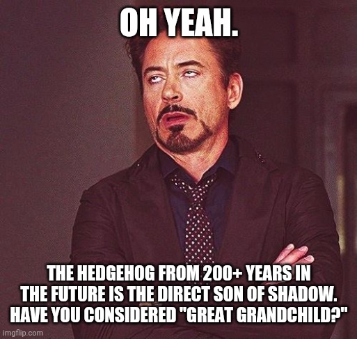 Robert Downey Jr Annoyed | OH YEAH. THE HEDGEHOG FROM 200+ YEARS IN THE FUTURE IS THE DIRECT SON OF SHADOW. HAVE YOU CONSIDERED "GREAT GRANDCHILD?" | image tagged in robert downey jr annoyed | made w/ Imgflip meme maker