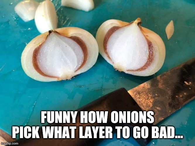 Bad onion | FUNNY HOW ONIONS PICK WHAT LAYER TO GO BAD… | image tagged in bad | made w/ Imgflip meme maker