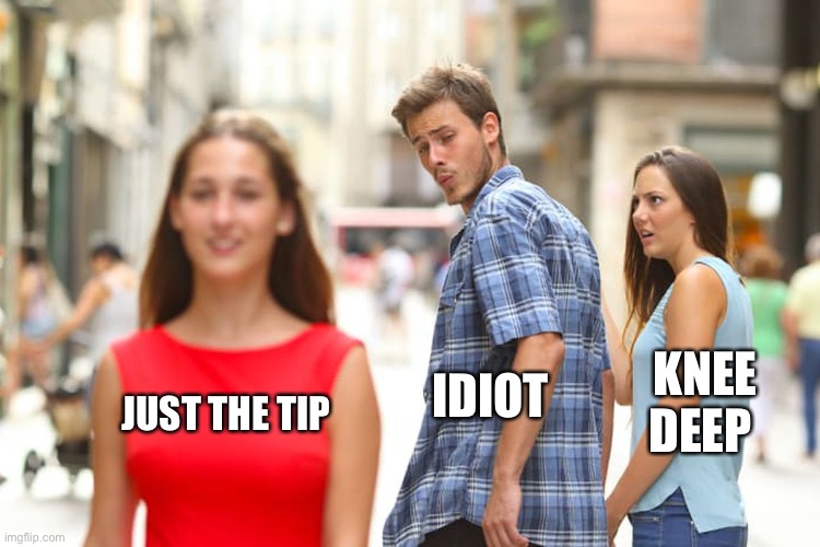 Distracted Boyfriend Meme | KNEE DEEP; IDIOT; JUST THE TIP | image tagged in memes,distracted boyfriend | made w/ Imgflip meme maker