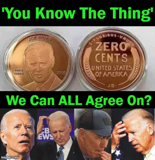 FINALLY Found The UNITY We Have Been Seeking! | 'You Know The Thing'; We Can ALL Agree On? | image tagged in political meme,joe biden,liberals vs conservatives,unity,zero cents,common sense | made w/ Imgflip meme maker