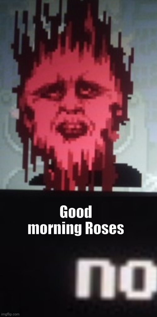 No | Good morning Roses | image tagged in no | made w/ Imgflip meme maker