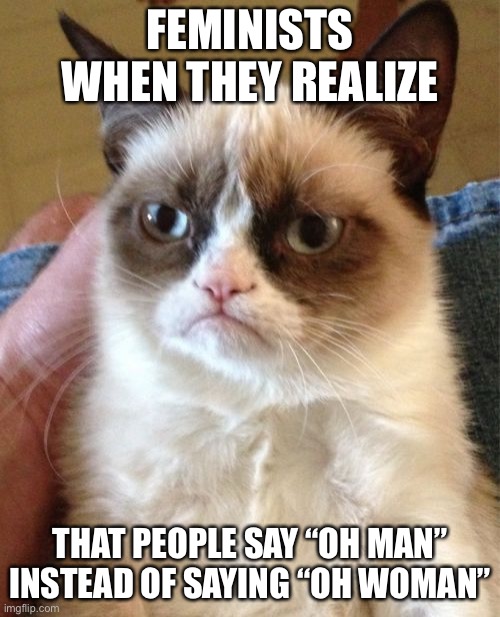 Grumpy Cat Meme | FEMINISTS WHEN THEY REALIZE; THAT PEOPLE SAY “OH MAN” INSTEAD OF SAYING “OH WOMAN” | image tagged in memes,grumpy cat | made w/ Imgflip meme maker