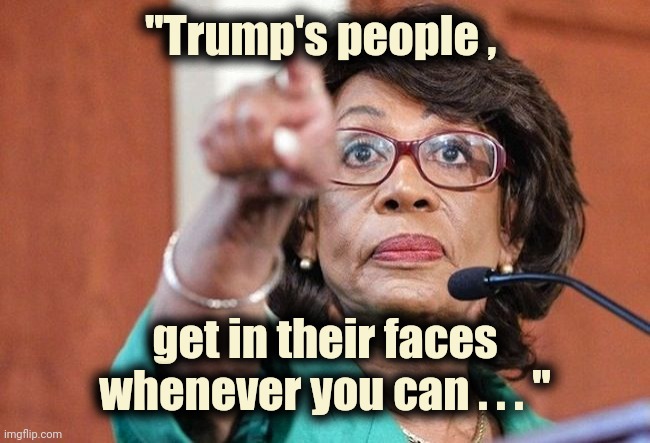 dumbass maxine waters | "Trump's people , get in their faces whenever you can . . . " | image tagged in dumbass maxine waters | made w/ Imgflip meme maker