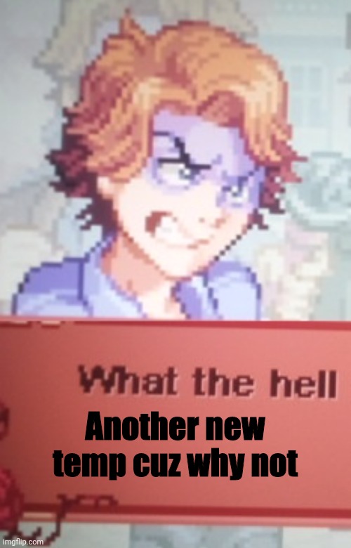 What the hell | Another new temp cuz why not | image tagged in what the hell | made w/ Imgflip meme maker