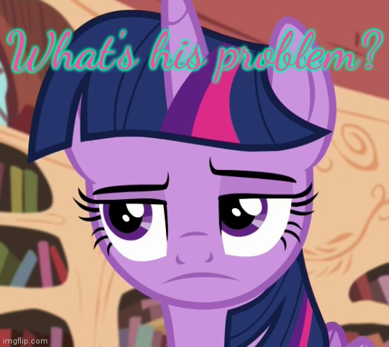 Unamused Twilight Sparkle (MLP) | What's his problem? | image tagged in unamused twilight sparkle mlp | made w/ Imgflip meme maker