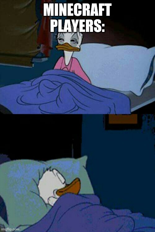 sleepy donald duck in bed | MINECRAFT PLAYERS: | image tagged in sleepy donald duck in bed | made w/ Imgflip meme maker