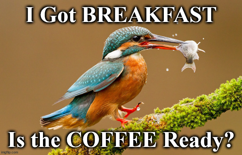 bird | I Got BREAKFAST; Is the COFFEE Ready? | image tagged in bird | made w/ Imgflip meme maker