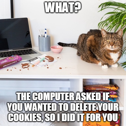 WHAT? THE COMPUTER ASKED IF YOU WANTED TO DELETE YOUR COOKIES, SO I DID IT FOR YOU | image tagged in memes,cat,cats,laptop,cookies | made w/ Imgflip meme maker
