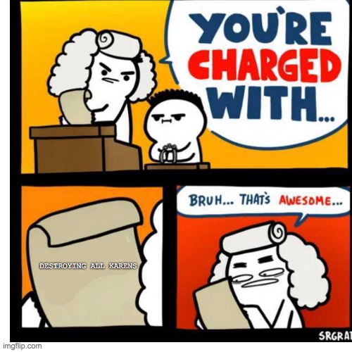 you have been charge with |  DESTROYING ALL KARENS | image tagged in you have been charge with | made w/ Imgflip meme maker