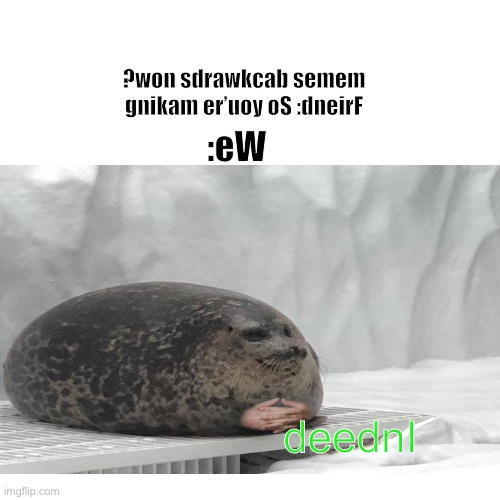 Hint: Read it backwards |  ?won sdrawkcab semem gnikam er’uoy oS :dneirF; :eW; deednI | image tagged in indeed,seal,indeed seal | made w/ Imgflip meme maker