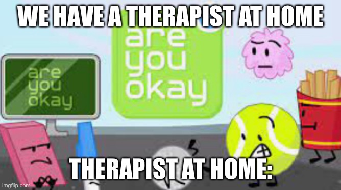 are you okay | WE HAVE A THERAPIST AT HOME; THERAPIST AT HOME: | image tagged in are you okay,memes,funny | made w/ Imgflip meme maker