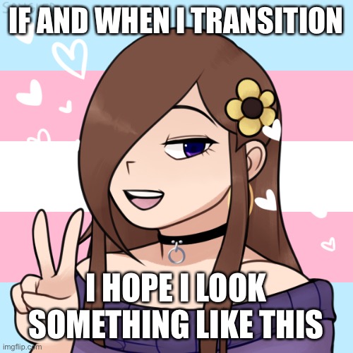 Redo because last image buffered | IF AND WHEN I TRANSITION; I HOPE I LOOK SOMETHING LIKE THIS | image tagged in serious,transgender | made w/ Imgflip meme maker