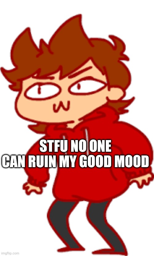 lenny tord | STFU NO ONE CAN RUIN MY GOOD MOOD | image tagged in lenny tord | made w/ Imgflip meme maker