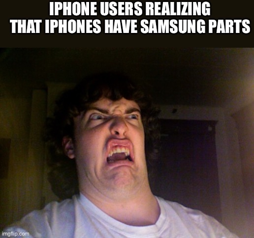 NOOOOOO | IPHONE USERS REALIZING THAT IPHONES HAVE SAMSUNG PARTS | image tagged in memes,oh no | made w/ Imgflip meme maker