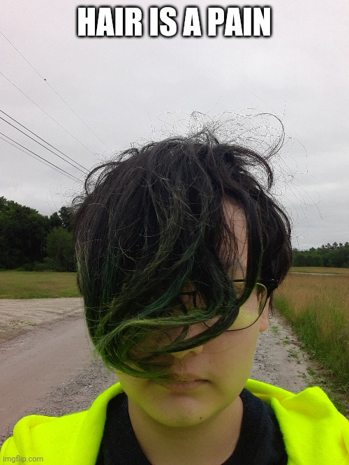HAIR IS A PAIN | made w/ Imgflip meme maker
