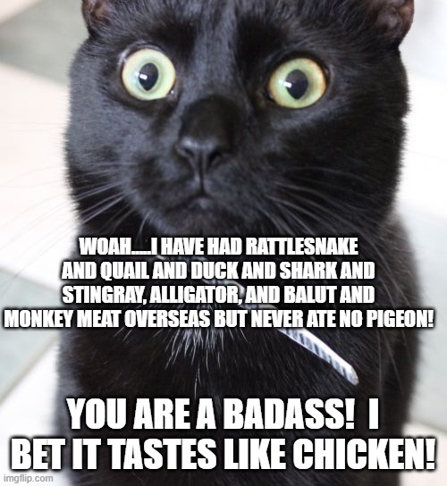 Woah Kitty Meme | WOAH.....I HAVE HAD RATTLESNAKE AND QUAIL AND DUCK AND SHARK AND STINGRAY, ALLIGATOR, AND BALUT AND MONKEY MEAT OVERSEAS BUT NEVER ATE NO PI | image tagged in memes,woah kitty | made w/ Imgflip meme maker