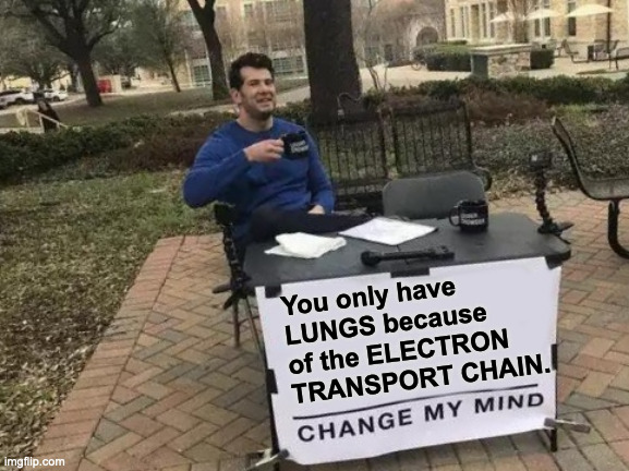 Change My Mind | You only have LUNGS because of the ELECTRON TRANSPORT CHAIN. | image tagged in memes,change my mind | made w/ Imgflip meme maker