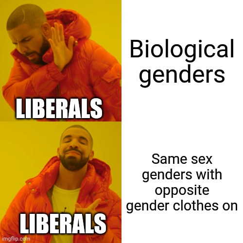 Liberals are very confused with everything | Biological genders; LIBERALS; Same sex genders with opposite gender clothes on; LIBERALS | image tagged in memes,drake hotline bling,liberal logic,liberals | made w/ Imgflip meme maker