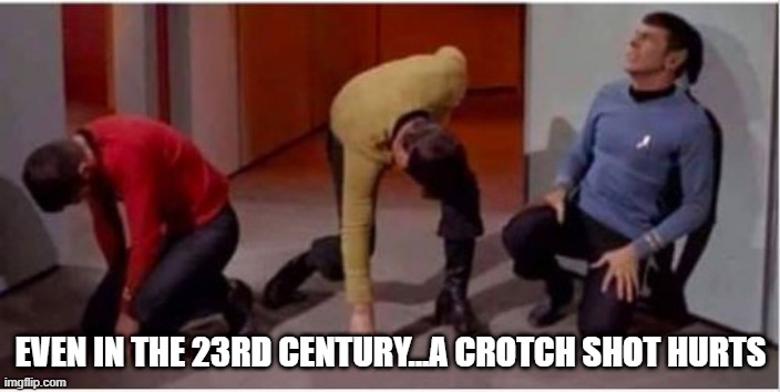 In the Sweet Spot | EVEN IN THE 23RD CENTURY...A CROTCH SHOT HURTS | image tagged in star trek pained | made w/ Imgflip meme maker