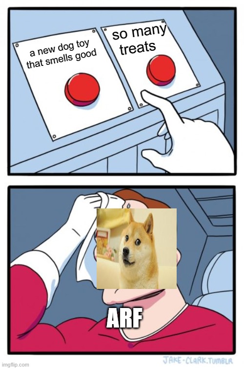 Two Buttons | so many treats; a new dog toy that smells good; ARF | image tagged in memes,two buttons | made w/ Imgflip meme maker