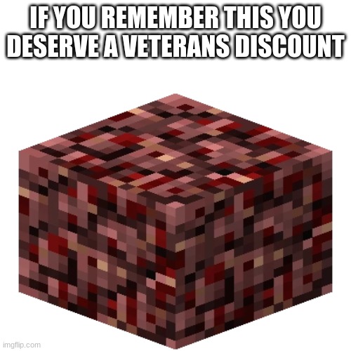 IF YOU REMEMBER THIS YOU DESERVE A VETERANS DISCOUNT | image tagged in minecraft | made w/ Imgflip meme maker