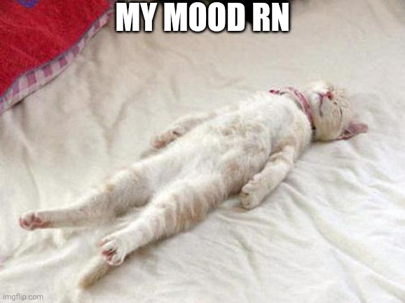 Sleepy, And It's Only 5:39 Pm | MY MOOD RN | image tagged in cat sleep | made w/ Imgflip meme maker