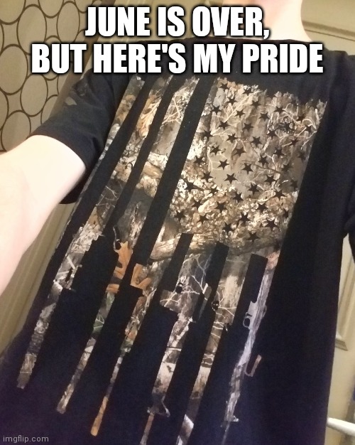 Try naming every gun. Not a homophobe | JUNE IS OVER, BUT HERE'S MY PRIDE | made w/ Imgflip meme maker