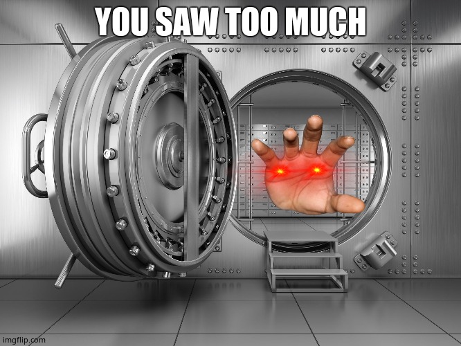 when you see whats inside the meme vault | YOU SAW TOO MUCH | image tagged in the vault | made w/ Imgflip meme maker