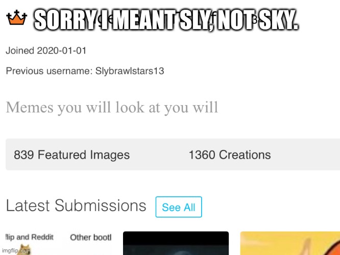 SORRY I MEANT SLY, NOT SKY. | image tagged in sly,skybrawlstars13,slybrawlstars13,what,auto-correct | made w/ Imgflip meme maker