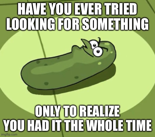 Pickle Doof | HAVE YOU EVER TRIED LOOKING FOR SOMETHING; ONLY TO REALIZE YOU HAD IT THE WHOLE TIME | image tagged in pickle doof | made w/ Imgflip meme maker