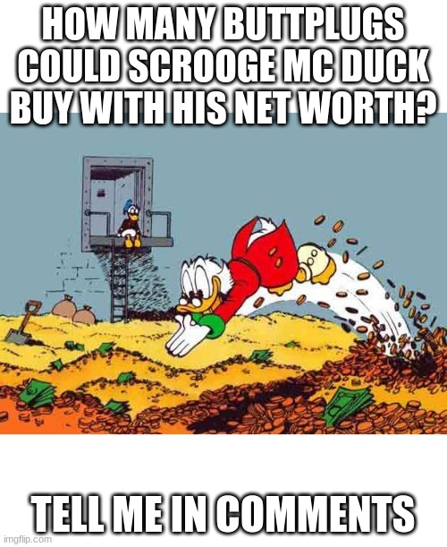 HOW MANY BUTTPLUGS COULD SCROOGE MC DUCK BUY WITH HIS NET WORTH? TELL ME IN COMMENTS | made w/ Imgflip meme maker